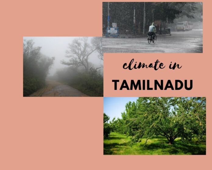 climate in tn