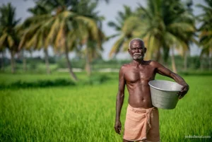 tamilnadu farmer