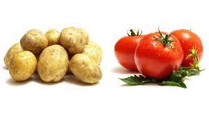 tomato and potato