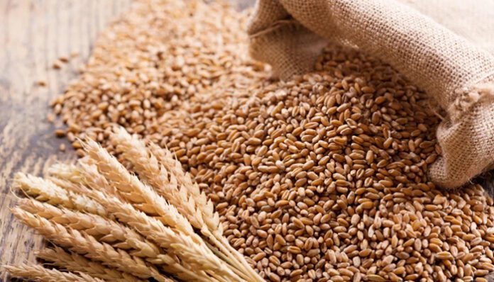 wheat import