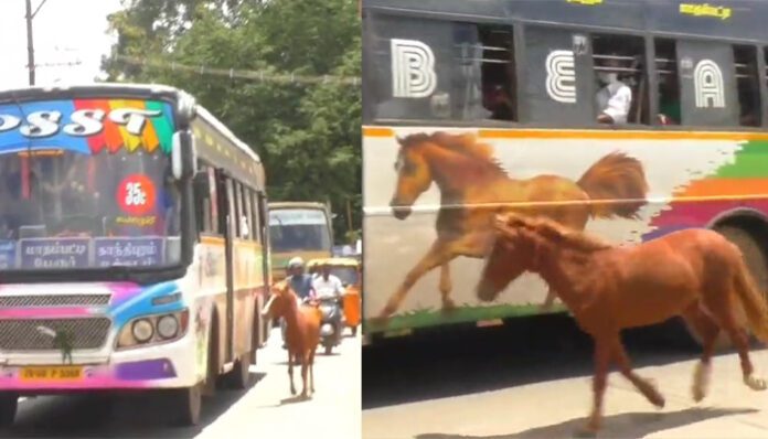 horse sticker in bus