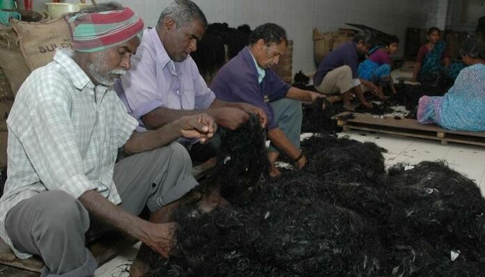 tirupati hair auction
