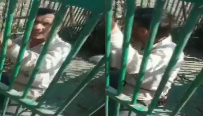 man stuck in leopard cage